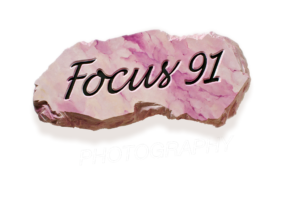 Focus91Logo